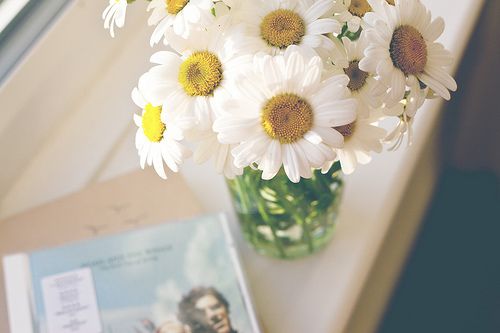 在时间中平静,在岁月里老去 (6)