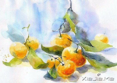 ����ϵˮ�ʻ�