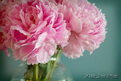 找一个理由,去否认忧伤 (3)