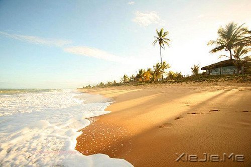 ƽ���밲���������������һ������ (6)