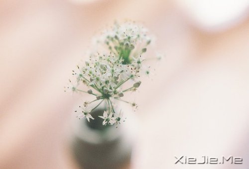 ÿ���˶����Լ�����������ů��֪ (3)