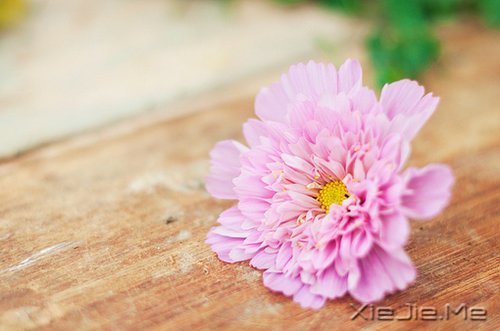 ������ֻ��Ҫһ��������΢Ц (7)