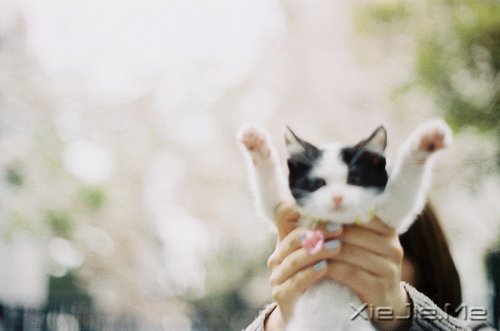 ��Щ�£�ЦЦ���ܹ�ȥ (4)