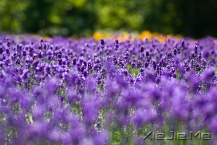 Ҫ��������룬��Ϊ�Լ����� (5)