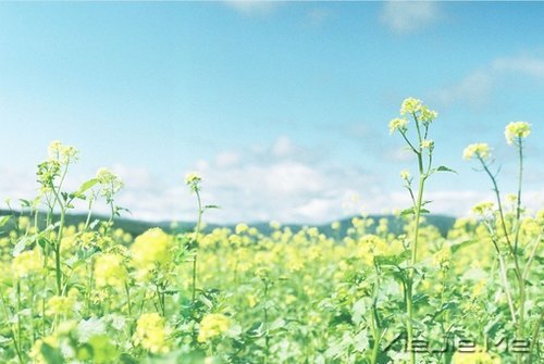 ԽŬ����Խ���� (7)