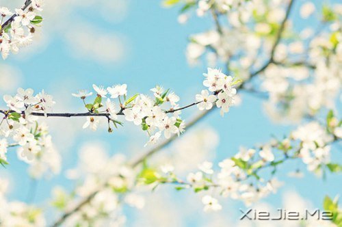 ·���ഺһ���ӣ��������ǳһ���� (2)