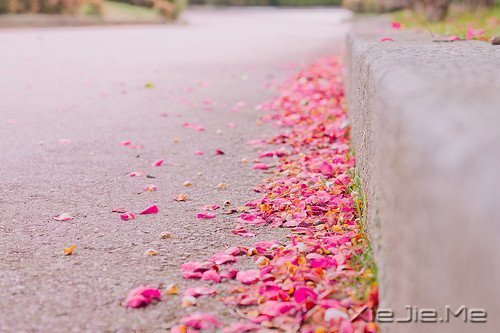 �簲���ǳǳ���������� (9)