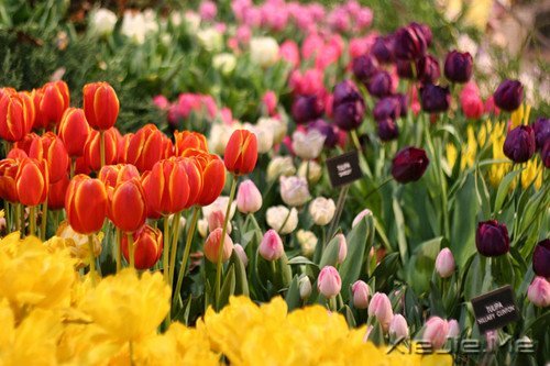 �����������������������Į (7)