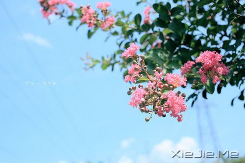 ��Ҫ��Ц���˵Ị̇���ֻ����û�о��������� (1)