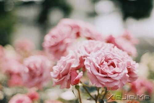 ��ֻ�ж���������֮�أ����ܿ���ʱ��֮�� (7)