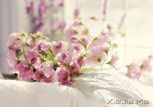 ǧ��Ҫ��Ϊ�ߵ�̫�ã�������������Ϊʲô���� (7)