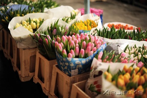 早安心语:如果时间可以倒退,一切也就不再珍贵 (7)