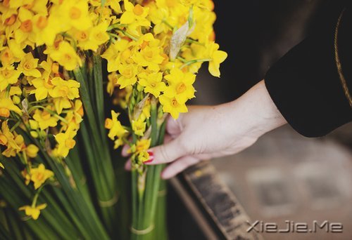 早安心语:如果时间可以倒退,一切也就不再珍贵 (11)