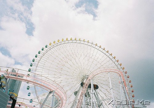 �簲����ں���̫�࣬���Լ�Ҳ������ĥ (10)