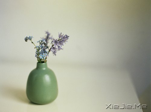 晚安心语:在途中,认清自己 (1)