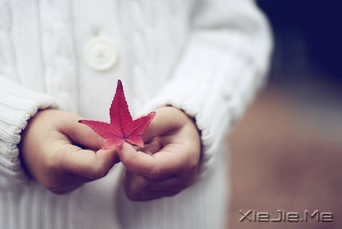 �簲������ƺ����飬����Żᴦ����� (9)