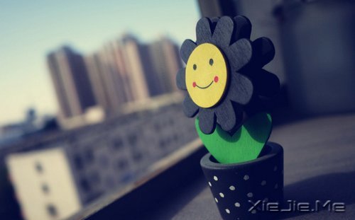 ��������㿴��ʲô�������磬���ӵ��ʲô�������� (10)