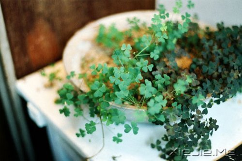 �簲��������������޹أ����Լ���ѡ���й� (2)