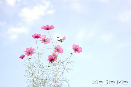 �簲����߽����·�������µ����� (1)