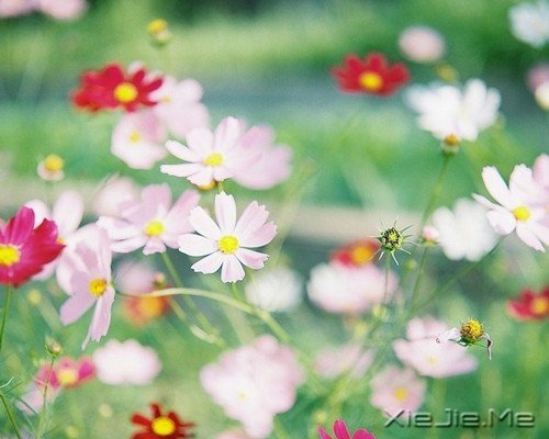 �������ѡ��������£�ڹ�Ϳ��������� (3)