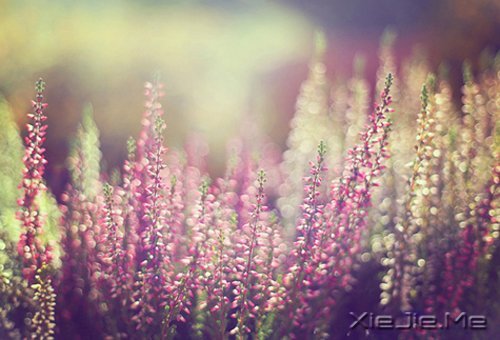 如果时间可以倒退,一切也就不再珍贵 (5)