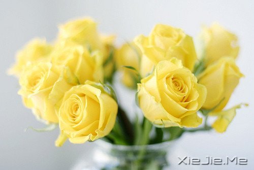 晚安心语:把生活转个身,重新开始 (1)