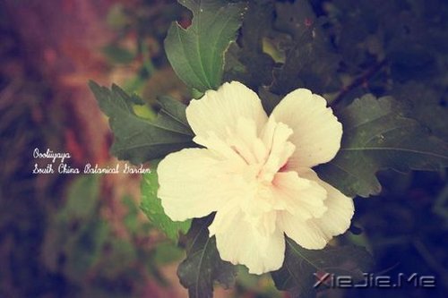 �������յ㣬��΢Цһֱ��ǰ (8)