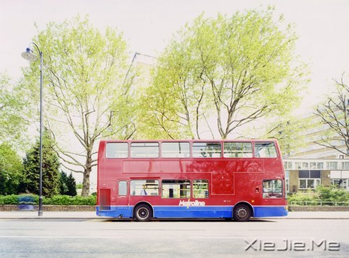 早安心语:宠爱自己,才是最重要的 (10)