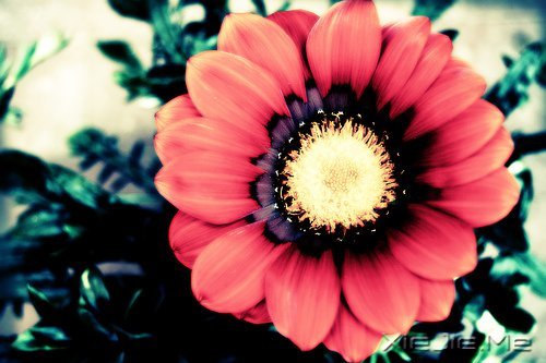 晚安心语:愿细水流年时,地老天荒 (7)