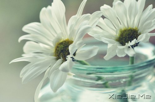 ���������Ļ��������ִܵ����ĵķ��� (9)