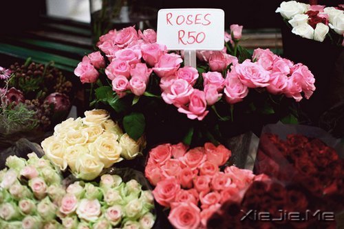 早安心语:不要辜负了美好的晨光 (6)