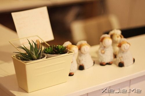 �����������붮�ã��Ȱ��������Ҫ (7)