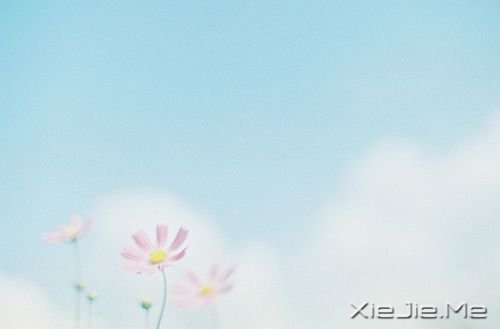 早安心语:淡然,是人生的一种成长 (3)