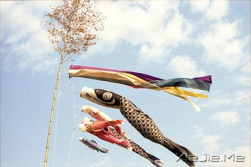 早安心语:淡然,是人生的一种成长 (4)