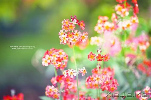 ��������������������������ȥ (1)