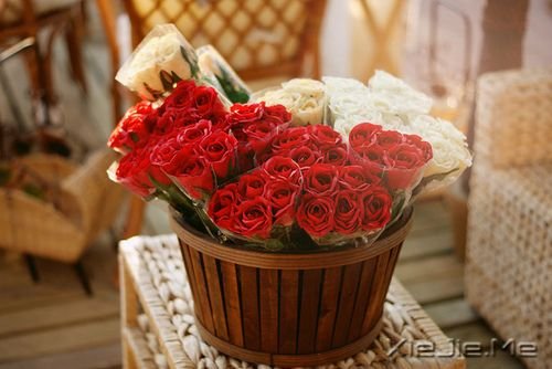 早安心语:我只有笑的很欢,忧伤才不会被看穿 (8)