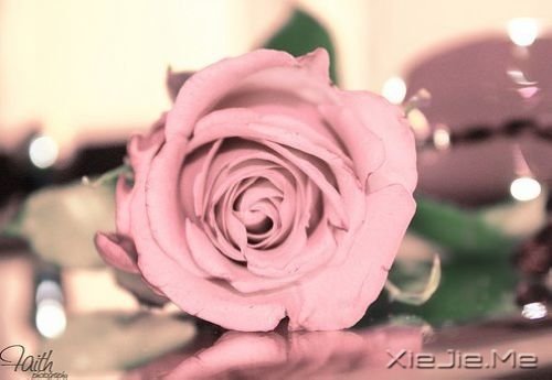 ���������������ˮ�����ĵף��۾�ֻ��һ��СС�ĳ��� (6)