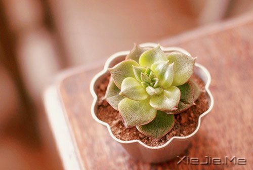 早安心语:总有一条路,通向彩红脚下 (7)