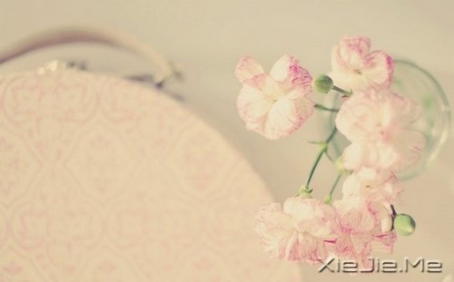 早安心语:不必仰望别人,自己亦是风景 (4)