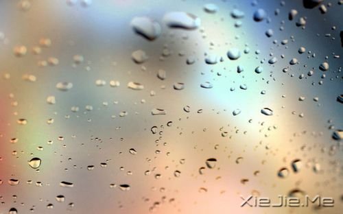 我要的爱,无非就是你一直在 (7)