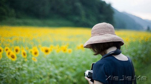 ���������Щ�£�ֻ���Լ��� (1)