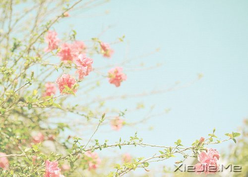 早安心语:一念放下,万般自在 (3)