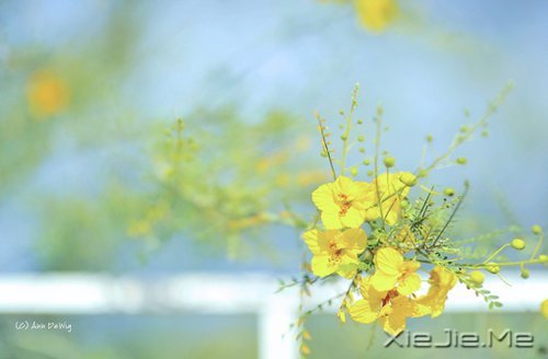 晚安心语:最喜欢谈论你的人,往往是最不了解你的人 (4)