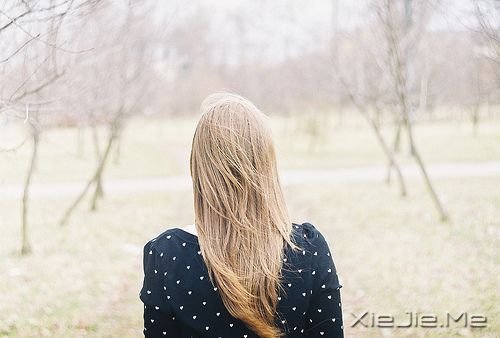 ���������һ������бܶ����� (8)