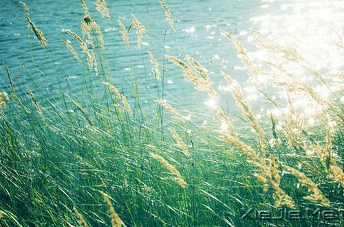 �簲�����Ϊ�Լ����Ϊ���ˣ���������� (2)