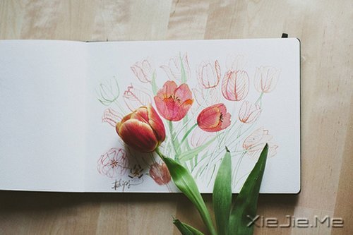 �簲���������Ҳ��ǿ������� (5)