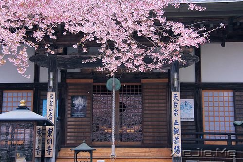 歌词心语:生活,就是你快乐它就快乐的过程 (1)