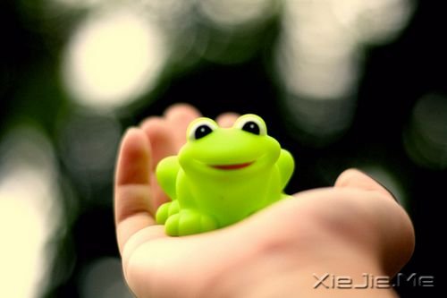 ����������Լ���һ�������� (9)