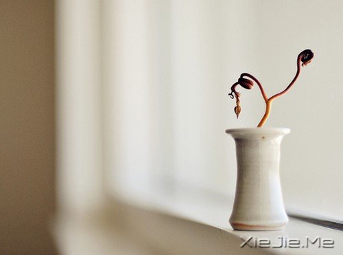 早安心语:那些所有你以为过不去的过去,都会过去 (7)