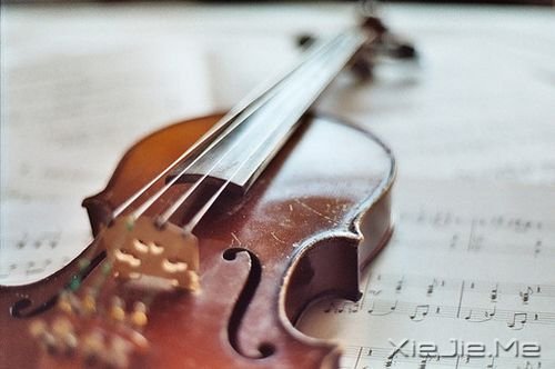 早安心语:给时光一个浅浅的回眸 (9)